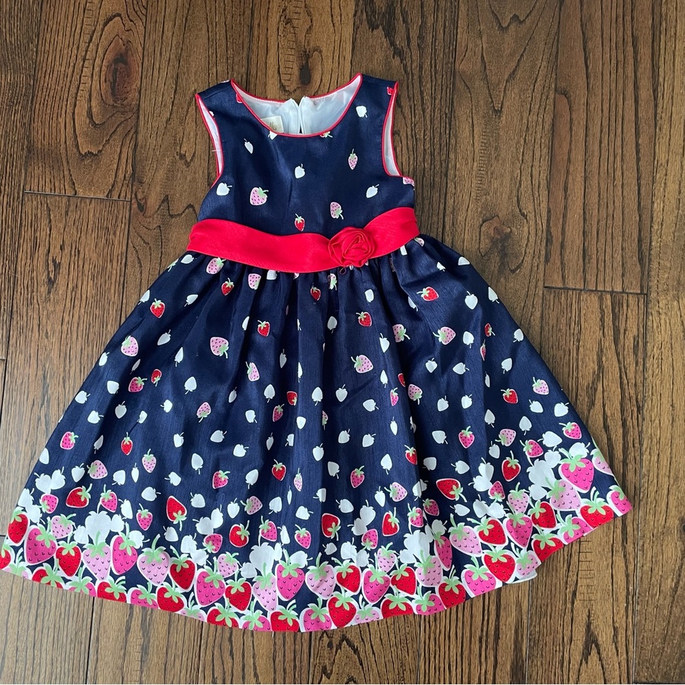 Cinderella Navy Blue Strawberry Kids Dress